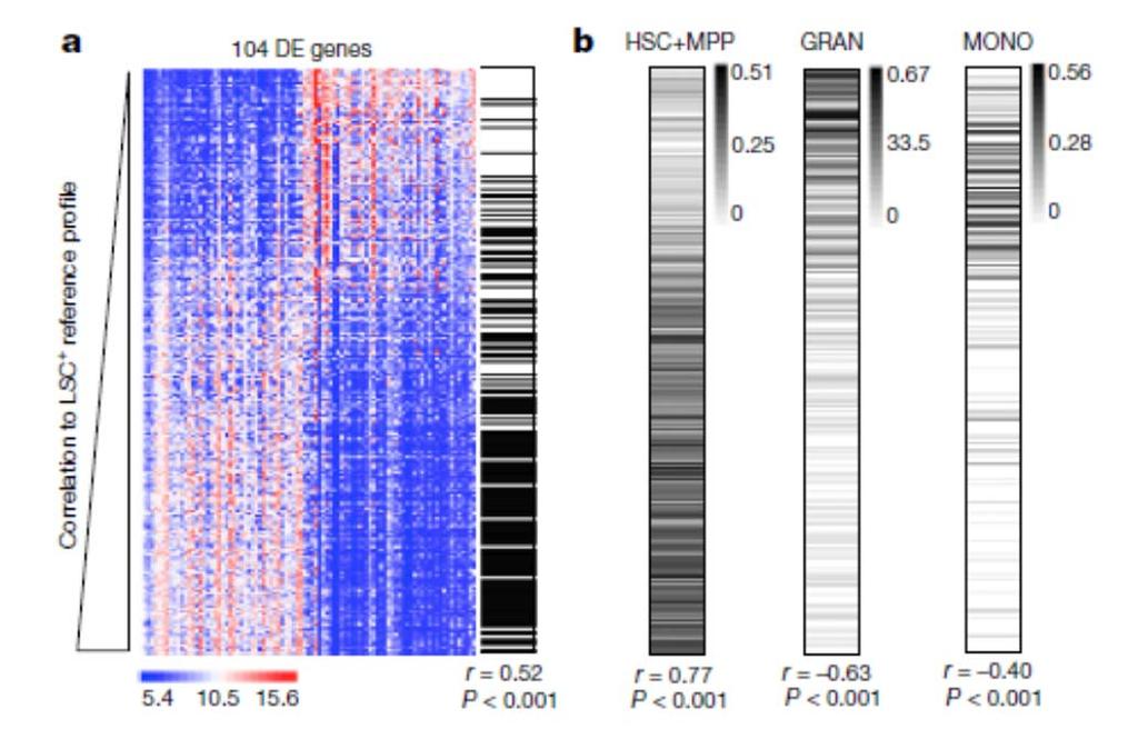 Pagal vidutinį tų 104 genų ekspresijos lygį nustatytas LSC+ referentinis profilis.