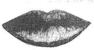 Stora apatinė lūpa Asimetriškos lūpos Viršutinė lūpa brėžiama ties natūraliu kontūru, apatinės lūpos kontūras brėžiamas ties vidiniu lūpos kontūru (1 mm atstumu nuo