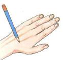 10. Rudu pieštuku arba veido dažais brėžiamos linijos nuo tarpupirščių iki riešo.