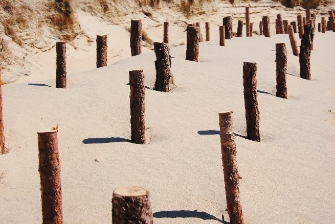 Kuršių Nerijos nacionalinis parkas atsižvelgus į mokslininkų rekomendacijas, siekiant sustabdyti kopų defliaciją 2016 2017 metais įrengė smėlio šukų tinklą.