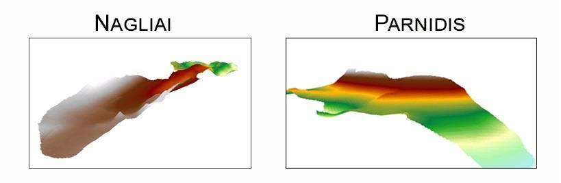 3.5 3D modeliai modeliai: Panaudojant 3D galimybes buvo sudaryti tirtų teritorijų 3D Naglių ir Parnidžio reljefo pav.) 1. Statiškas su pasirinktu kameros stebėjimo tašku (51 pav.
