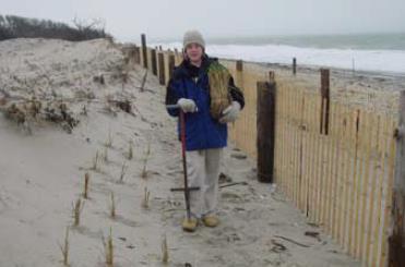 priemonių jas atstatyti. Visų pirma teritorijoje esančius smėlio atsargos buvo papildomos dirbtinai jo atvežus. (O Connell, 2008) 2 pav.