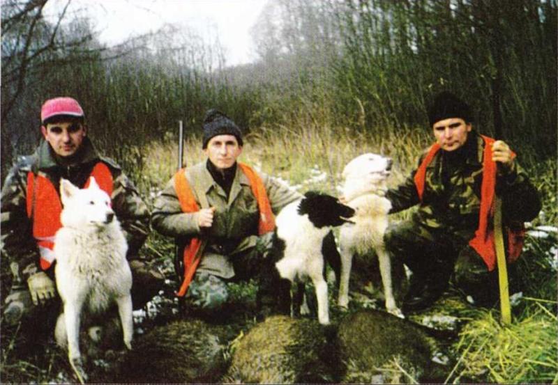 Su šunimis 2001 m. šernų medžioklė visada sekasi.