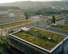 gws_rd=ssl#q=green+roofs Komplekso sąsajos su kontekstu Išskirtinė komplekso vieta įpareigoja rasti išskirtinius sprendimus integruojant objektą į miesto istorinį, urbanistinį ir gamtinį kontekstą.