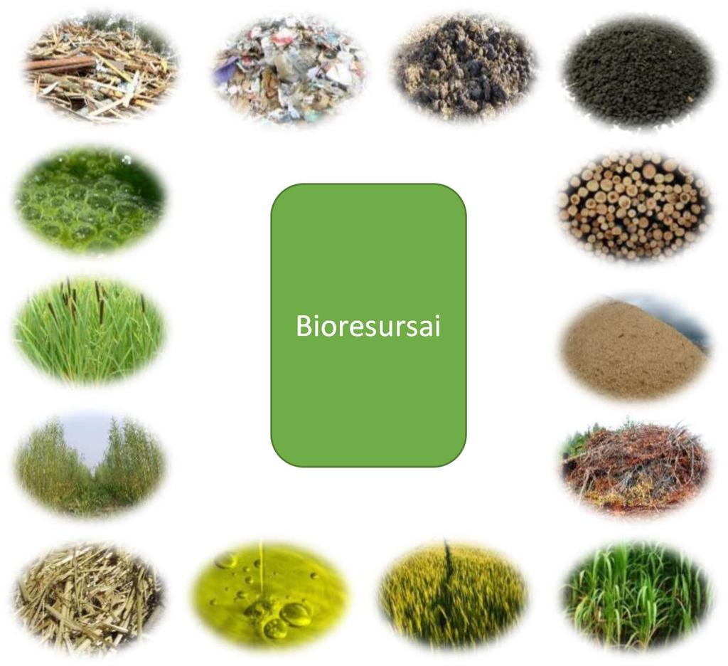Biomasė biologiškai skaidi produktų, atliekų ir žemės ūkio (įskaitant augalines ir gyvulines medžiagas), miškininkystės ir su ja susijusių pramonės šakų atliekų dalis, taip pat biologiškai skaidi