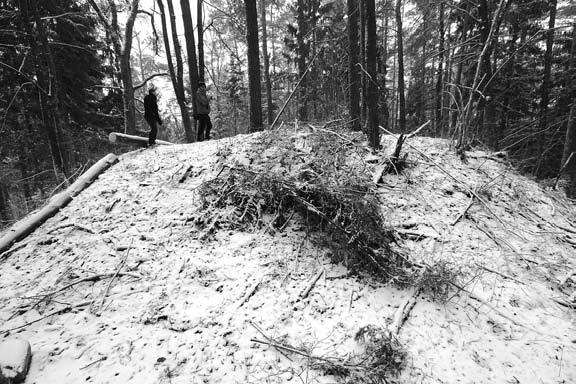 krante, turėtų būti piliakalnių. Spėlionės pasitvirtino apaugusį brandžiu mišku, vos apie šimtą metrų į rytus nuo kelio Kavarskas Šeriai, D. Stončius aptiko Kavarsko piliakalnį.