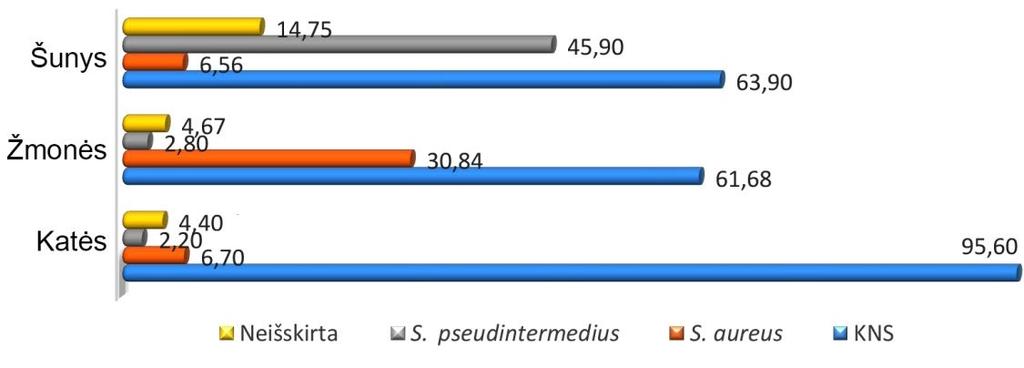 1 pav. Stafilokokų paplitimas tarp žmonių, šunų ir kačių (proc.) Staphylococcus aureus buvo nustatytas 33 žmonėms (30,8 proc.; PI 95 proc. 22,9 40,1), 4 šunims (6,6 proc.; PI 95 proc. 2,6 15,7) ir 3 katėms (6,7 proc.