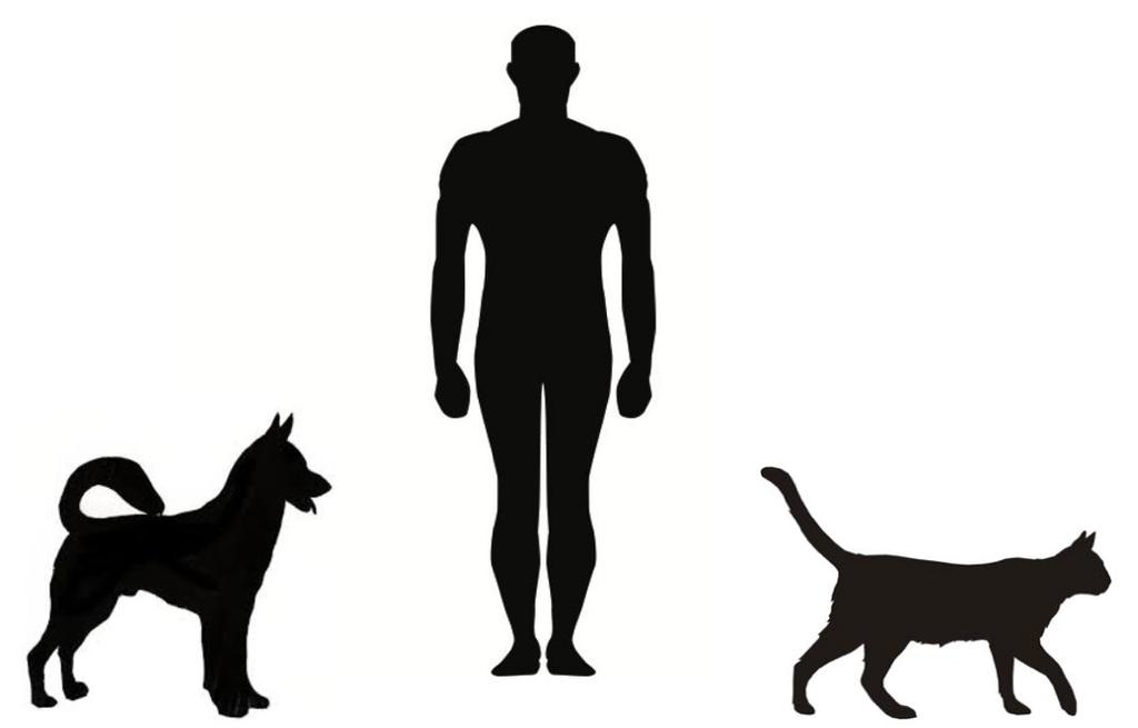 (Annex 2). Animal owners completed a questionnaire on the data of each dog and cat living in the same household.