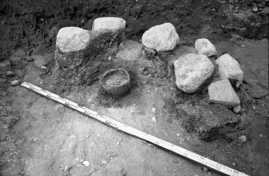 Vėlyvojo žalvario ir ankstyvojo geležies amžiaus laidosena ir visuomenė Šiaurės vakarų Lietuvoje 7 pav. Rūdaičių degintinis kapas. M. Michelberto nuotrauka (LIIBR, f. 1, neg. Nr. 11880) Fig. 7. Cremation burial of Rūdaičiai.
