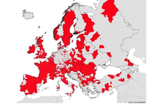 5 3 pav. Ixodes ricinus išplitimas Europoje (tamsesnė spalva) (Užkrečiamųjų ligų ir AIDS centro duomenys). 14.2. Pasaulyje žinoma apie 3400 uodų rūšių, o Lietuvoje gyvena 36 uodų rūšys.