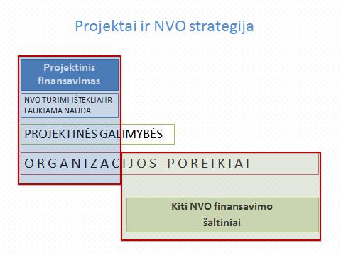 Būtina keistis ->transformuotis iš projektinės NVO į gyvybingą NVO. Tam reikalinga strategiškai planuoti projektus.