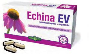 Echina EV lašai 50ml Echina EV kapsulės N30 Echina EV sirupas vaikams 200ml Echina EV linijos sudėtyje esantys produktai pasižymi šiomis savybėmis: Siauralapė ežiuolė.