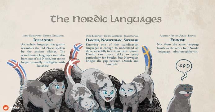 Raskite informacijos apie procesus ir priežas s, sąlygojusias kalbų kilmę iš vienos kalbų šakos. Šiandienos norvegų kalba keičiasi, panašėja į kitas skandinavų kalbas.