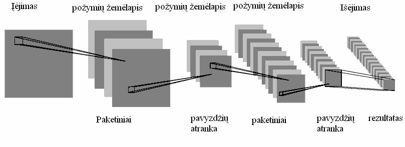 Šiame DNT naudojami lokaliniai perceptorių laukai (užtikrina lokalų dvimatį neuronų sąryšį), bendri svoriai (užtikrina kai kurių bruožų atpažinimą bet kurioje vaizdo vietoje) ir hierarchinis