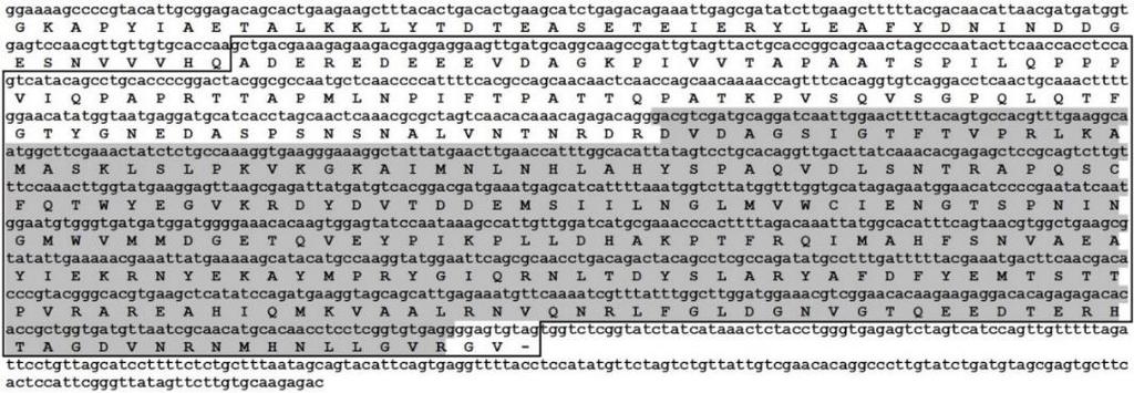 Rūšinio virusų paplitimo įvertinimo duomenys pateikti 3 lentelėje. PNRSV viruso, kuris gali plisti ir su žiedadulkėmis, paplitimas įvairių veislių slyvyne genetinių išteklių sode buvo didžiausias.