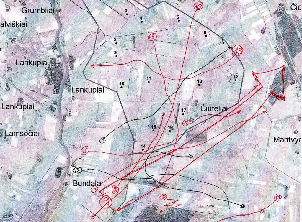 8 pav. Stebėjimų metu žemėlapyje piešiamos paukščių skrydžių trajektorijos. Intensyvūs skridimo koridoriai ar dideli būriai paukščių gali būtų žymimi stambiomis rodyklėmis, pvz., linija Nr.