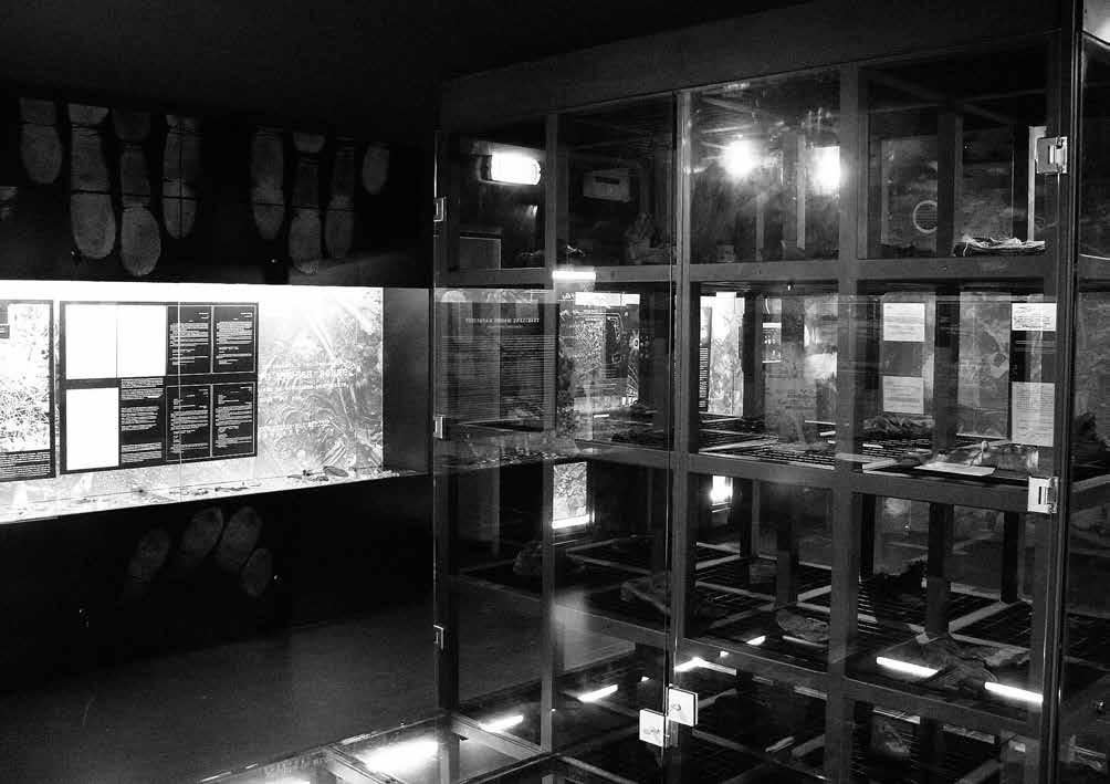 Vitrinose eksponuojami Vilniaus NKGB (MGB) vidaus kalėjime nužudytų ir Tuskulėnuose užkastų žmonių daiktai.