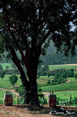 CONO SUR BICICLETA CABERNET SAUVIGNON Pagamintas iš 85 % Cabernet Sauvignon, 10 % Merlot, 2 % Carmenere ir 3 % Syrah vynuogių. Rubinų raudonumo spalvos.
