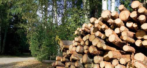 Miško kirtimai Iškirstos medienos sandėlis Ugdomieji miško kirtimai vykdomi beveik viso medyno auginimo ciklo metu: jie paprastai pradedami, kai jauni medeliai dar tik pradeda susisiekti lajoms, ir