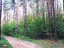 Pagrindinis ūkininkavimo tikslas šiuose miškuose išsaugoti ir pagerinti jų apsaugines funkcijas, formuojant produktyvius medynus.