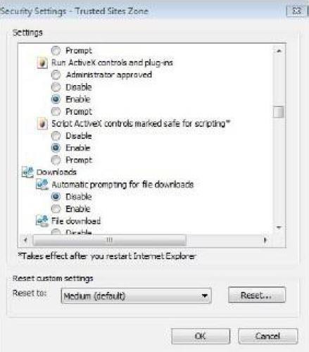naršyklės nustatymus: Tool Internet options Custom level Active X. Čia visiems nustatymams pažymėkite Enable ir spauskite OK.