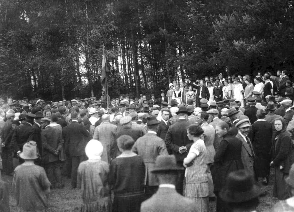 17 Viena, pareiškė kalbėsiąs vokiškai (jam buvo leista), antra, tarsi pritardamas ūkininkų vienijimosi idėjai, rado progą pasityčioti iš taip visų garbinamos Lietuvos.