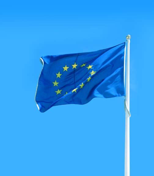 Europos Sąjungos valstybės narės Europos Sąjungos valstybės narės yra saistomos Sąjungos mastu priimamų teisės aktų, kurių normas jos turi perkelti į savo nacionalines teisės sistemas.