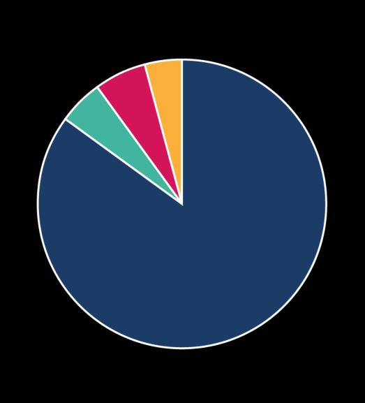 PORTFELIO STRUKTŪRA (2014 12 31) Portfelio struktūra pagal turimų bendrovių vertę Portfelio kapitalo struktūra IT infrastruktūros paslaugos 85% Nuosavybė 77% Informacinių sistemų kūrimas ir vystymas