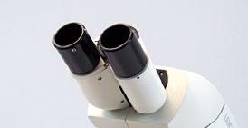 Leica standartinis vamzdelis su atskirais okuliarais 1.