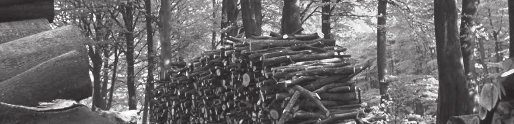 TP medienos smulkintuvai yra patogūs vartotojui, jų konstrukcija tvirta ir jie labai produktyvūs.