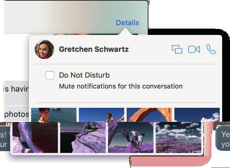 Kai vien teksto neužtenka. Jeigu jūsų draugas taip pat turi FaceTime, galite pradėti FaceTime vaizdo ar garso pokalbį tiesiai iš programoje Messages vykstančio pokalbio.