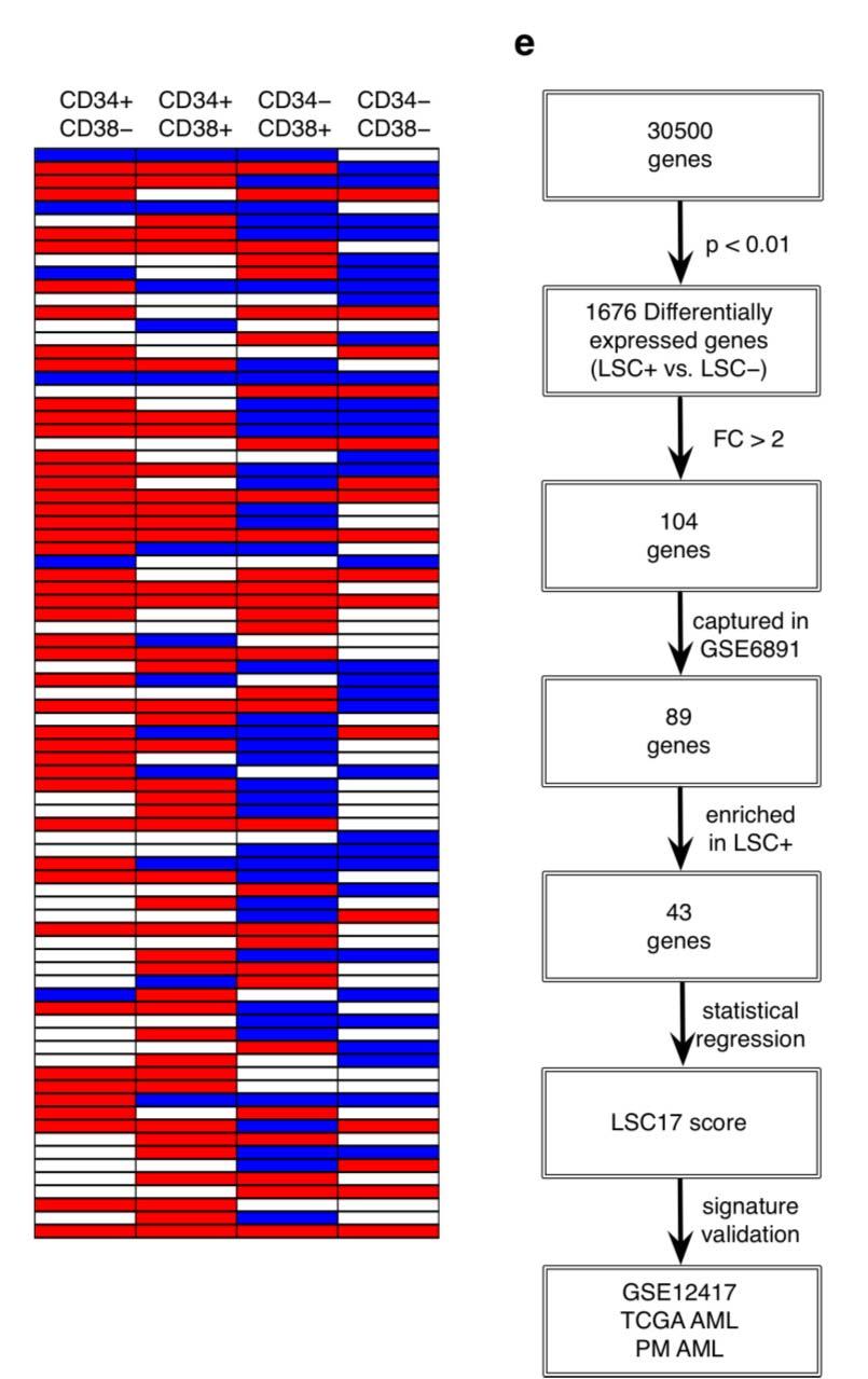 III. Septyniolikos genų ekspresijos vertė Genų ekspresijos profilis 138 LSC+ ir 89 LSC frakcijose.