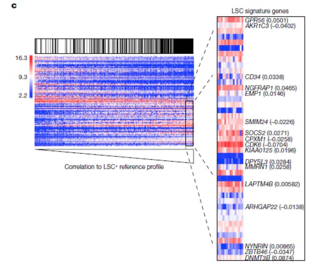 Kad atrinkti transkripcinius komponentus, veikiančius kamieniškumo stadijoje, peranalizuoti duomenys liko 89 genai.