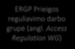Regulatory Accounting WG) ERGP Rinkos rodiklių