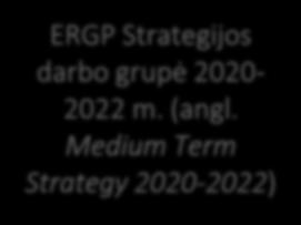 Market Indicators WG) ERGP Prieigos reguliavimo 