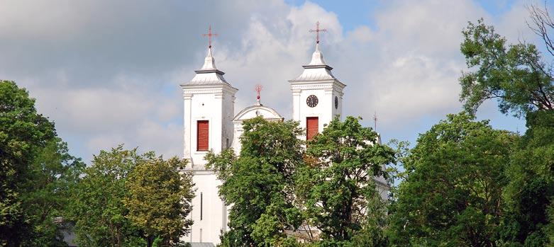 Kiti mažesni savivaldybės miesteliai yra Barstyčiai, Ylakiai, Lenkimai ir Mosėdis. Skuodo miestas minimas nuo 1253 m., kai Livonijos ordino magistras ir Kuršo vyskupas dalijosi čionykštes žemes.
