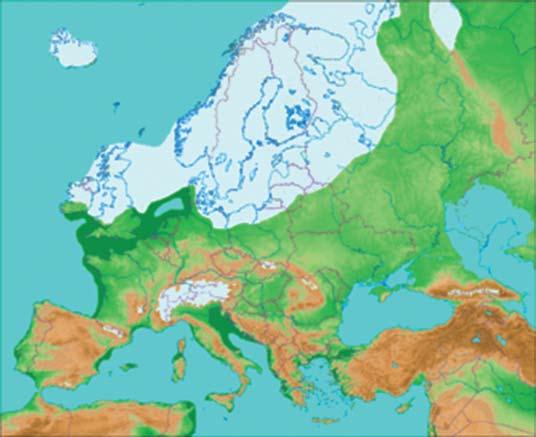 17 (Weichsel) vardas. Paskutinysis Fenoskandijos ledynas buvo okupavęs didžiulę teritoriją, kurios plotas, ko gero, ne mažesnis nei Grenlandijos.