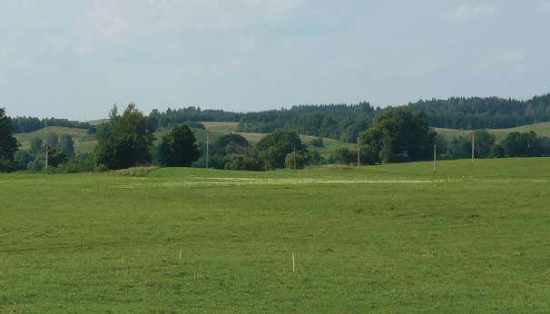 Jų Lietuvoje priskaičiuojama per du šimtus (Targių prie Kurtuvėnų, Žvelgaičio Žagarėje ir kt.).