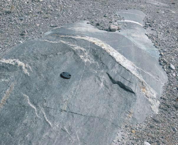 29 Banginio nugara slenkančio ledyno nušlifuoti magminės kilmės gabrai prie Kangerlusuako (G. Skridlaitės nuotr.