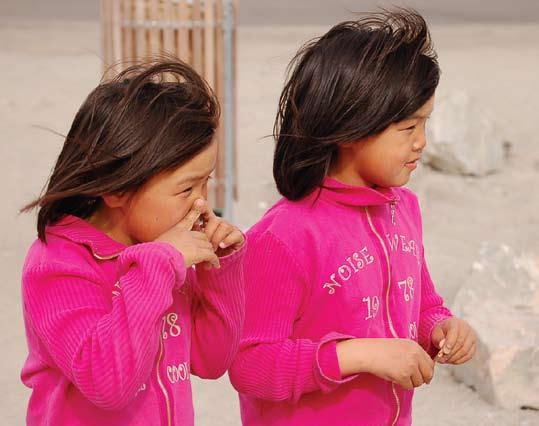 36 titnagas, daug rečiau šviesus. Na, o pagrindinė Vakarų Grenlandijoje gyvenusios,,saqqaq kultūros žmonių dirbiniams naudota medžiaga pilkasis silikatinis skalūnas, vadinamas killiaq.