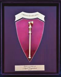 : Birštono savivaldybei buvo įteiktas trečiasis garbingas Europos Tarybos apdovanojimas Garbės ženklas.