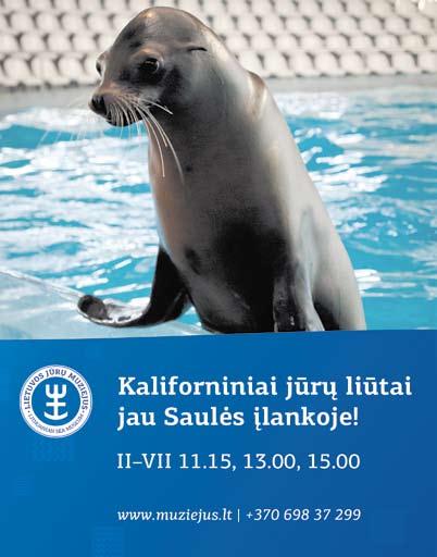 Namų projektavimas Memelhaus Tel. 8 678 03 031. Paskolos Skubios PASKOLOS be darbo užmokesčio su NT užstatu. Dirbame 26 m., Šimkaus g.12, Klaipėda. Tel. 8 687 29 934, www.cenzas.