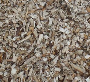 Daugiausia naudojama biokuro rūšis šilumos gamybai: Europoje - medienos