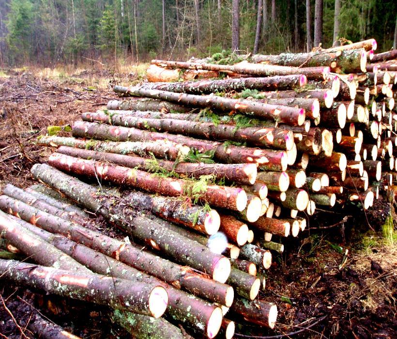 Stiebų sortimentavimas Apvaliosios medienos gaminiai Popierrąsčiai skirti celiuliozei ir popieriui gaminti. Rąstų plongalio skersmuo 6 cm ir daugiau.