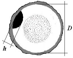 Puvinio ir nusispalvinimo matavimas kai pažeistas plotas yra rąsto skersinio pjūvio centrinėje dalyje, tuomet matuojamas tariamojo apskritimo, apibrėžiančio dėmę, skersmuo (d).