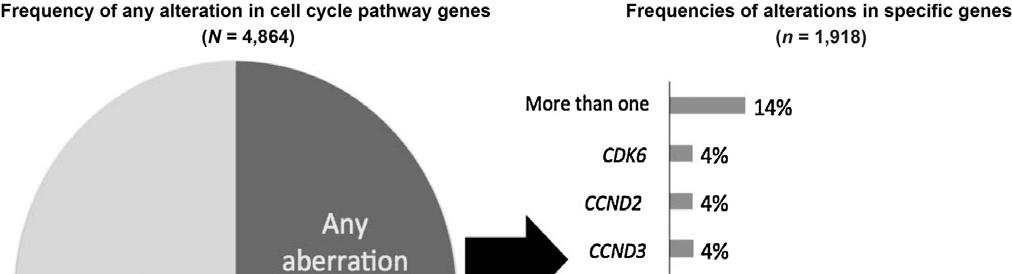 Genes analyzed: CCND1, CCND2,