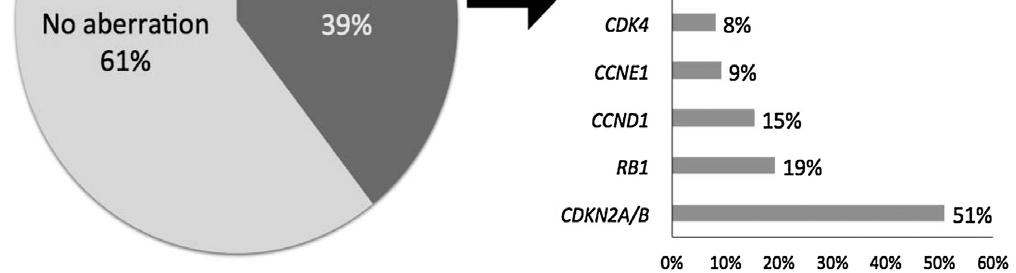 CDKN2A/B, and RB1 1918 (39,4 %)