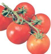 Šiandien vis dar ginčijamasi, ar tai yra vaisiai ar daržovės. Privalumai: pomidorai yra lengvai auginami ir puikiai suderinami su daugeliui maisto produktų.