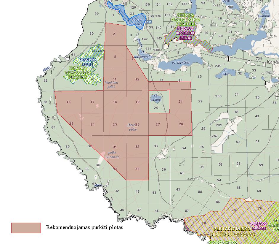 11 pav. Plotas VĮ Valstybinių miškų urėdijos Veisiejų regioninio padalinio Stalų girininkijoje, kuriame 2019 m. siūloma naikinti verpiko vienuolio vikšrus.