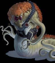 KAVETSAKA NEW